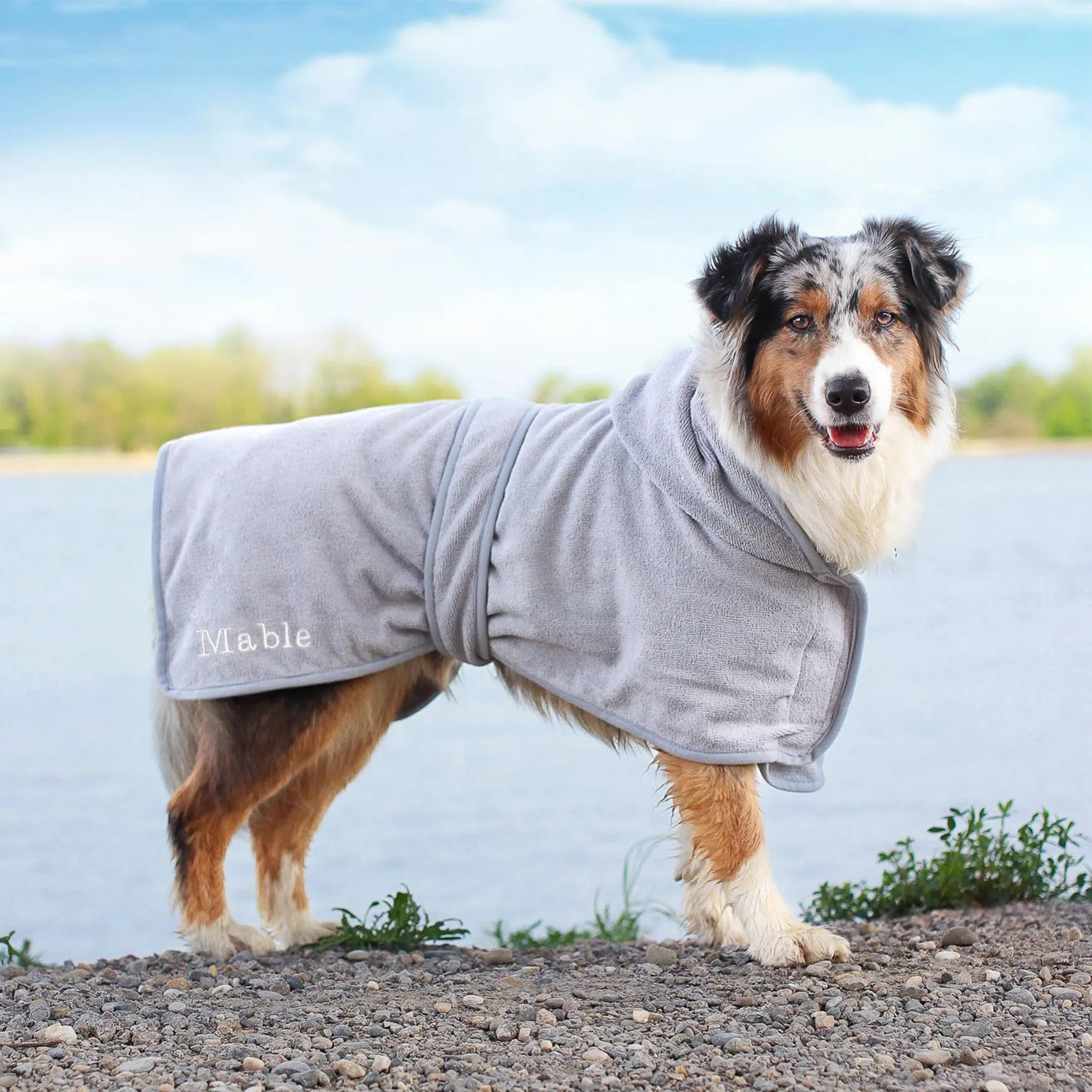 Dogbathrobe™️ | Geen natte hond meer in je auto of huis