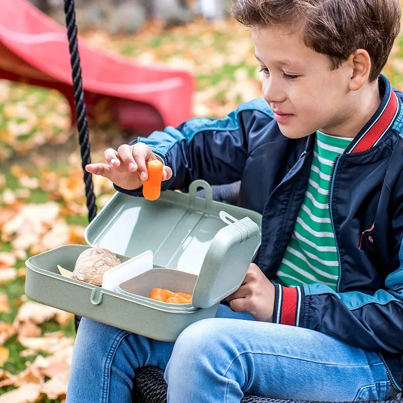 Pascal Lunch box L con separador organic