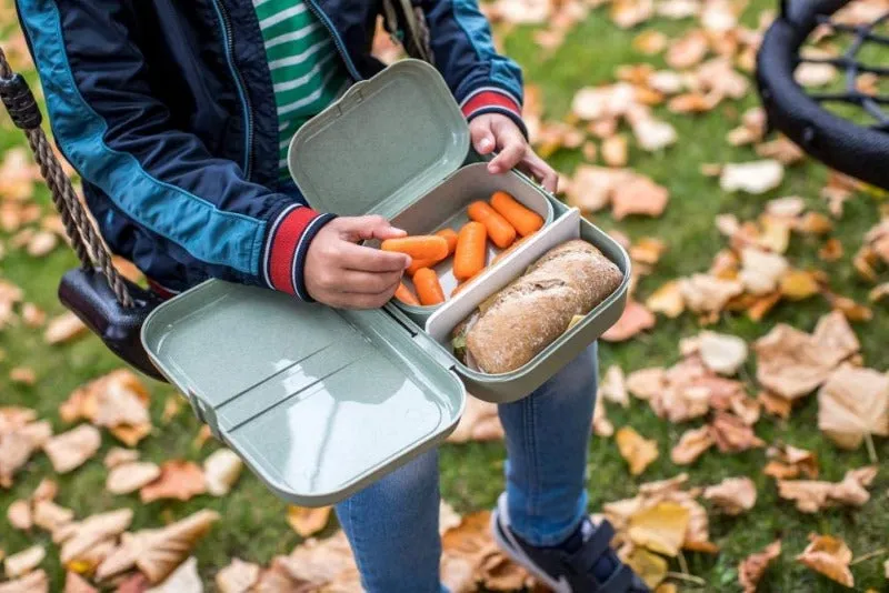 Pascal Lunch box L con separador organic