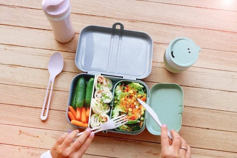 Pascal Lunch box L con separador organic