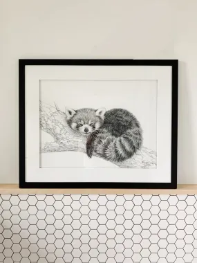 SOLD_ORIGINAL ARTWORK - Red Panda - From the Zoo de Granby Collaboration