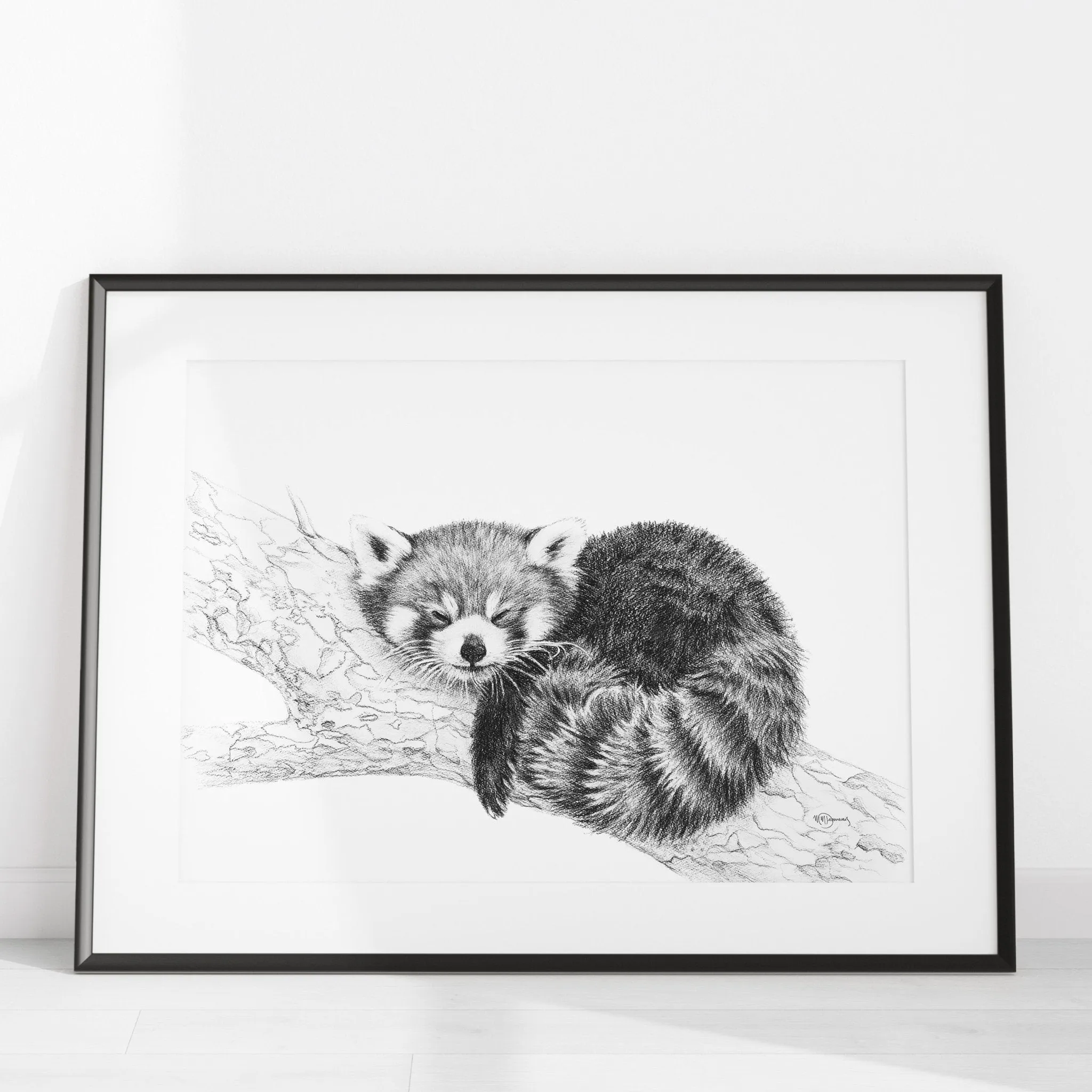 SOLD_ORIGINAL ARTWORK - Red Panda - From the Zoo de Granby Collaboration